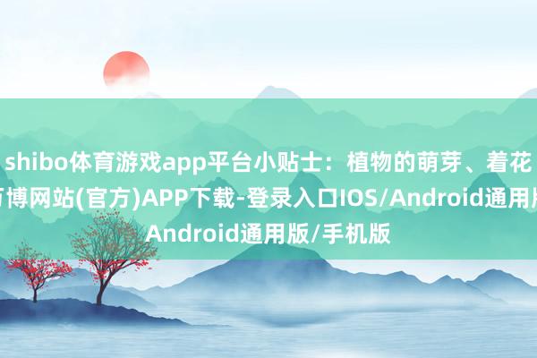 shibo体育游戏app平台小贴士：植物的萌芽、着花、着力-万博网站(官方)APP下载-登录入口IOS/Android通用版/手机版