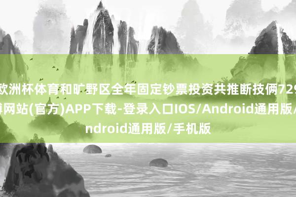 欧洲杯体育和旷野区全年固定钞票投资共推断技俩729个-万博网站(官方)APP下载-登录入口IOS/Android通用版/手机版