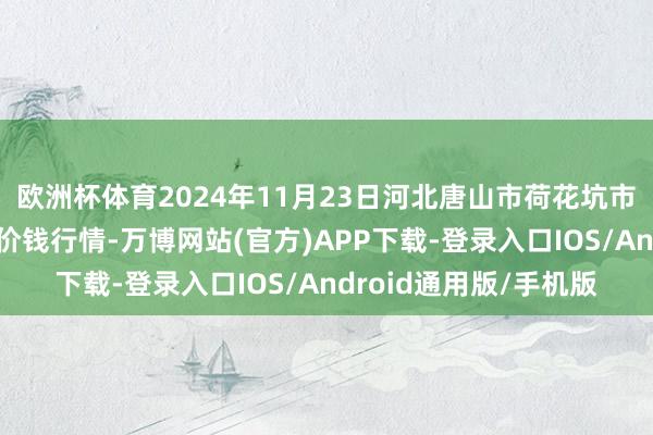 欧洲杯体育2024年11月23日河北唐山市荷花坑市集标的管制有限公司价钱行情-万博网站(官方)APP下载-登录入口IOS/Android通用版/手机版