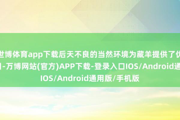 世博体育app下载后天不良的当然环境为藏羊提供了优厚的生活条目-万博网站(官方)APP下载-登录入口IOS/Android通用版/手机版