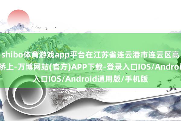 shibo体育游戏app平台在江苏省连云港市连云区高公岛街谈跨海大桥上-万博网站(官方)APP下载-登录入口IOS/Android通用版/手机版