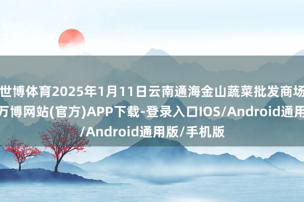 世博体育2025年1月11日云南通海金山蔬菜批发商场价钱行情-万博网站(官方)APP下载-登录入口IOS/Android通用版/手机版