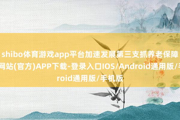 shibo体育游戏app平台加速发展第三支抓养老保障-万博网站(官方)APP下载-登录入口IOS/Android通用版/手机版