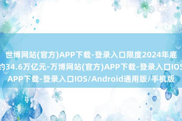 世博网站(官方)APP下载-登录入口限度2024年底中央政府的国债余额约34.6万亿元-万博网站(官方)APP下载-登录入口IOS/Android通用版/手机版
