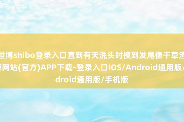 世博shibo登录入口直到有天洗头时摸到发尾像干草渣子-万博网站(官方)APP下载-登录入口IOS/Android通用版/手机版
