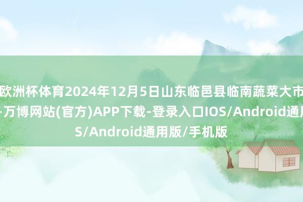 欧洲杯体育2024年12月5日山东临邑县临南蔬菜大市集价钱行情-万博网站(官方)APP下载-登录入口IOS/Android通用版/手机版