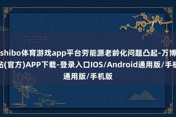 shibo体育游戏app平台劳能源老龄化问题凸起-万博网站(官方)APP下载-登录入口IOS/Android通用版/手机版
